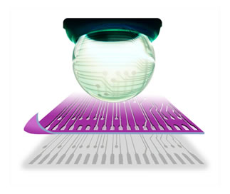 1452733754204165.jpg 1.jpg